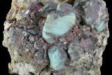 Amazonite, Hematite & Cleavelandite Association - Colorado #86875-2